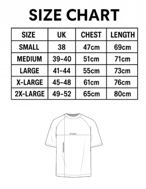 Farvahar T shirt Heavy Cotton Good Thoughts Good Words Good Deeds Iranian, Spiritual, Affirmations, Zoroastrian Middle Eastern